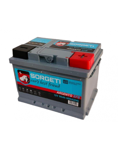12V 65 Ah 1
