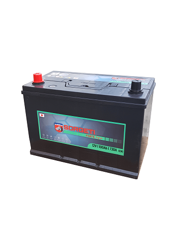baterie auto sorgeti forte japan 100ah borna inversa